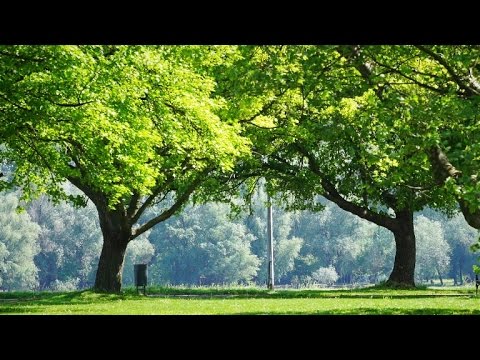 zajednica Dobri Pastir - Vječnom ljubavlju