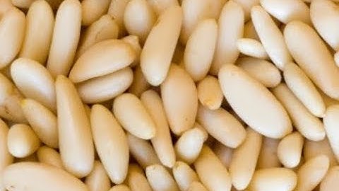 Pinenut seeds cleaning and dehulling machine