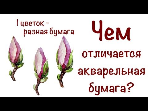 ЧЕМ ОТЛИЧАЕТСЯ АКВАРЕЛЬНАЯ БУМАГА? КАКУЮ ВЫБРАТЬ? 1 бутон - 6 ВИДОВ БУМАГИ