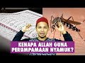 Kenapa Allah Guna Perumpamaan Nyamuk?