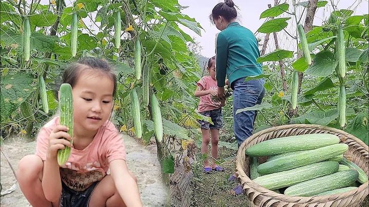 I picked melons and went to the market to sell them, living happily together - DayDayNews