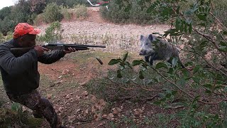 Hunting Wild Boar: PART 3Season 2022 || SIDI BOUDARGA  KHEMISSET
