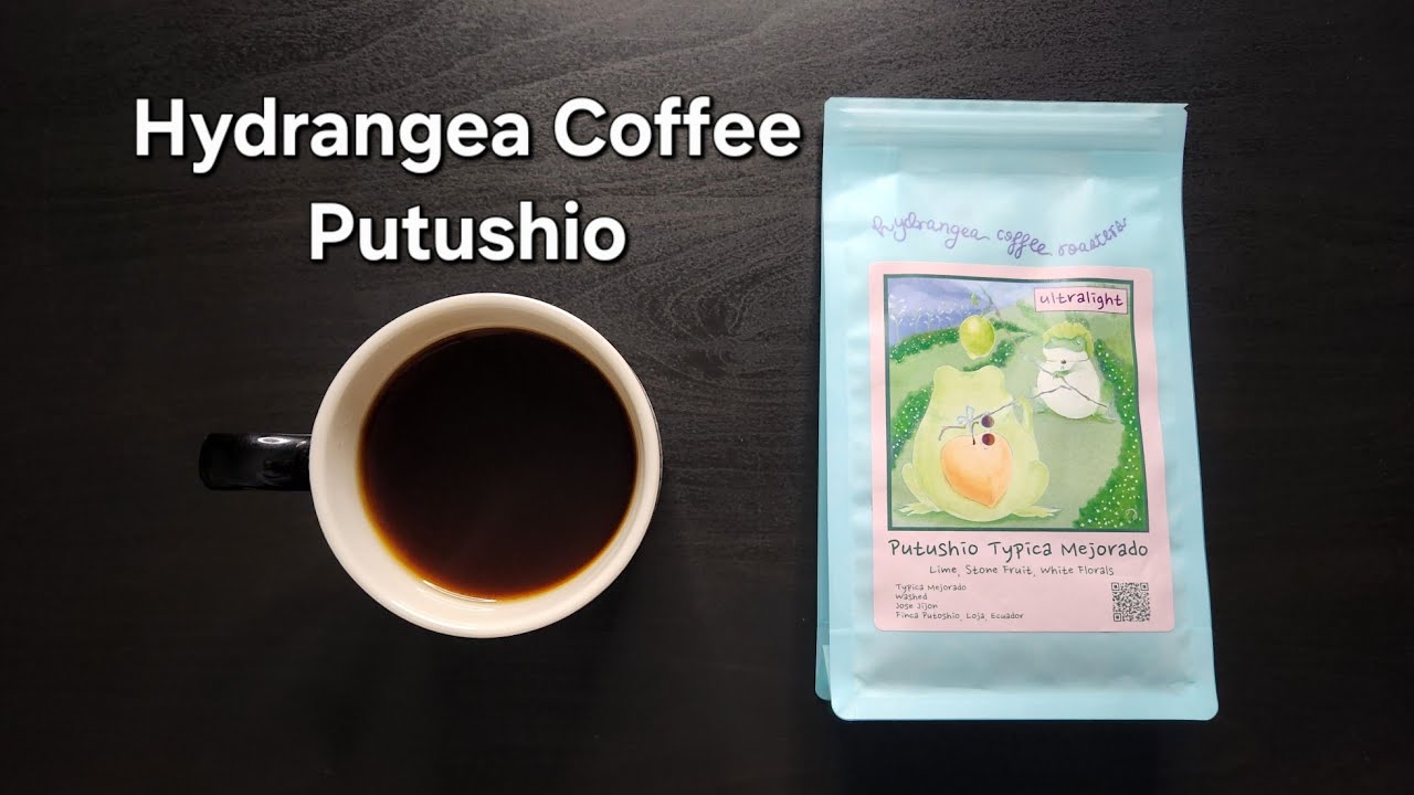 Обзор кофе Hydrangea (Беркли, Калифорния) - Мытый эквадорский Putushio