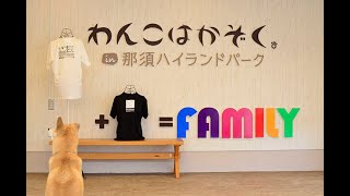 那須 SOS活動 保護犬シェルター のライブ映像