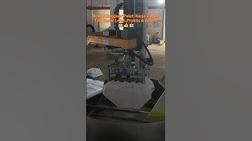 Unpacking & Feeding, PP, 50KG #palletizing #palletizer #stacking #pallet #plastic #factory #robot