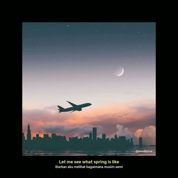 Story WA | Fly Me To The Moon