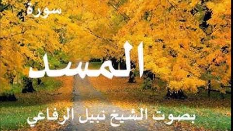 سورة المسد بصوت الشيخ / نبيل الرفاعي 111