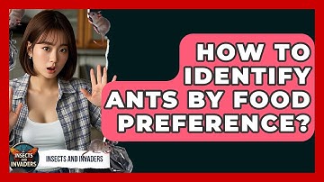 How To Identify Ants By Food Preference? - Insects and Invaders