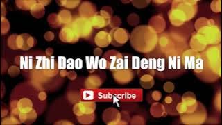 Ni Zhi Dao Wo Zai Deng Ni Ma - Zhang Hong Liang #lyrics #lyricsvideo #singalong