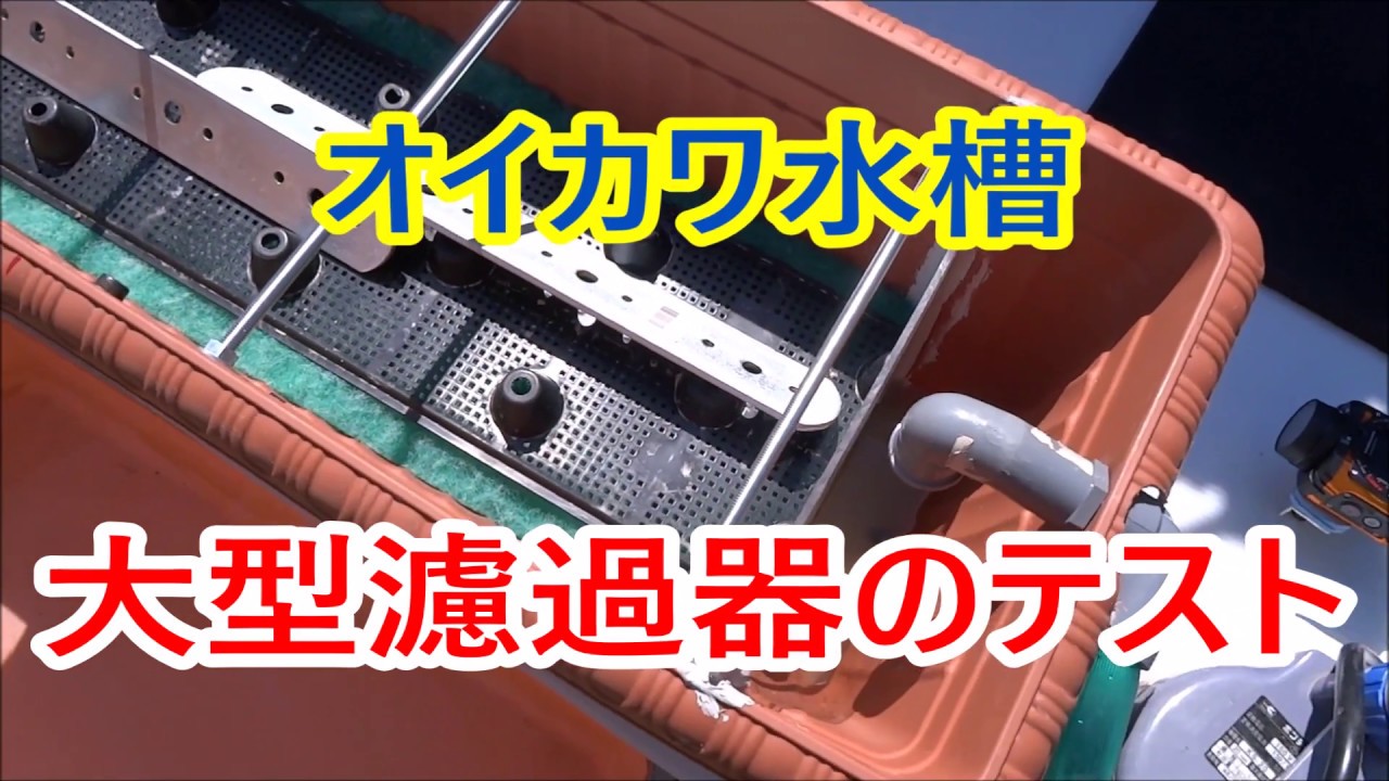 自作大型濾過器のテスト N0 6オイカワ水槽 Youtube