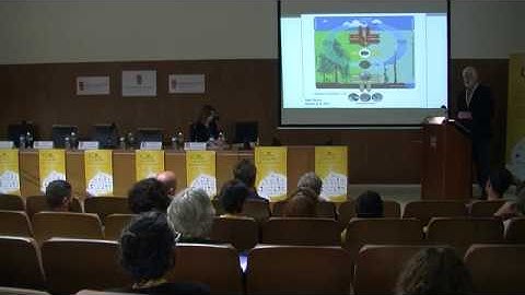 The role of forests in the global carbon cycle, impacts of climate change and mitigation options