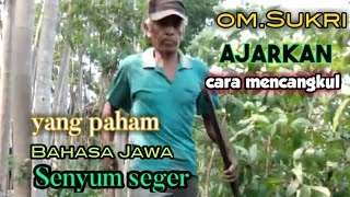 Begitu Meriah Bahas Pacul Di Sawah Dengan Omsukri