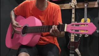 Gitar akustik clasic C315 custome