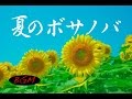 作業用BGM！勉強用BGM！ボサノバBGM！カフェミュージック！