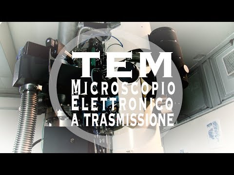 Video: Cosa si usa nel microscopio elettronico?