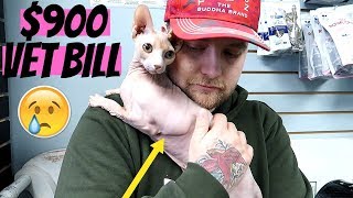There is something wrong with our cat... :( There is something wrong with our cat... :(