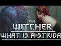 What Is A Striga?  - Witcher Lore - Witcher Mythology - Witcher 3 lore