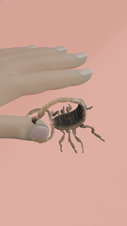 scorpion sting 🤢 #3danimation