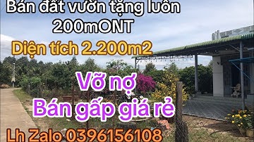 Vỡ nợ cần bán gấp lô đất vườn trái cây có thổ cư giá sinh viên để trả nợ Giang hồ