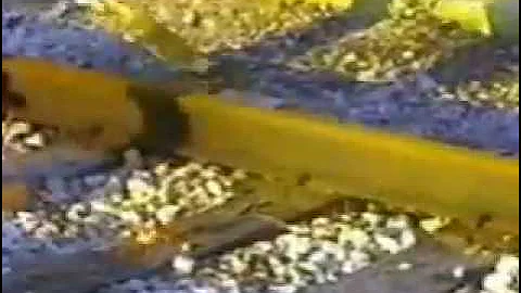 Ultra Track Pan  Railroad Spill Containment