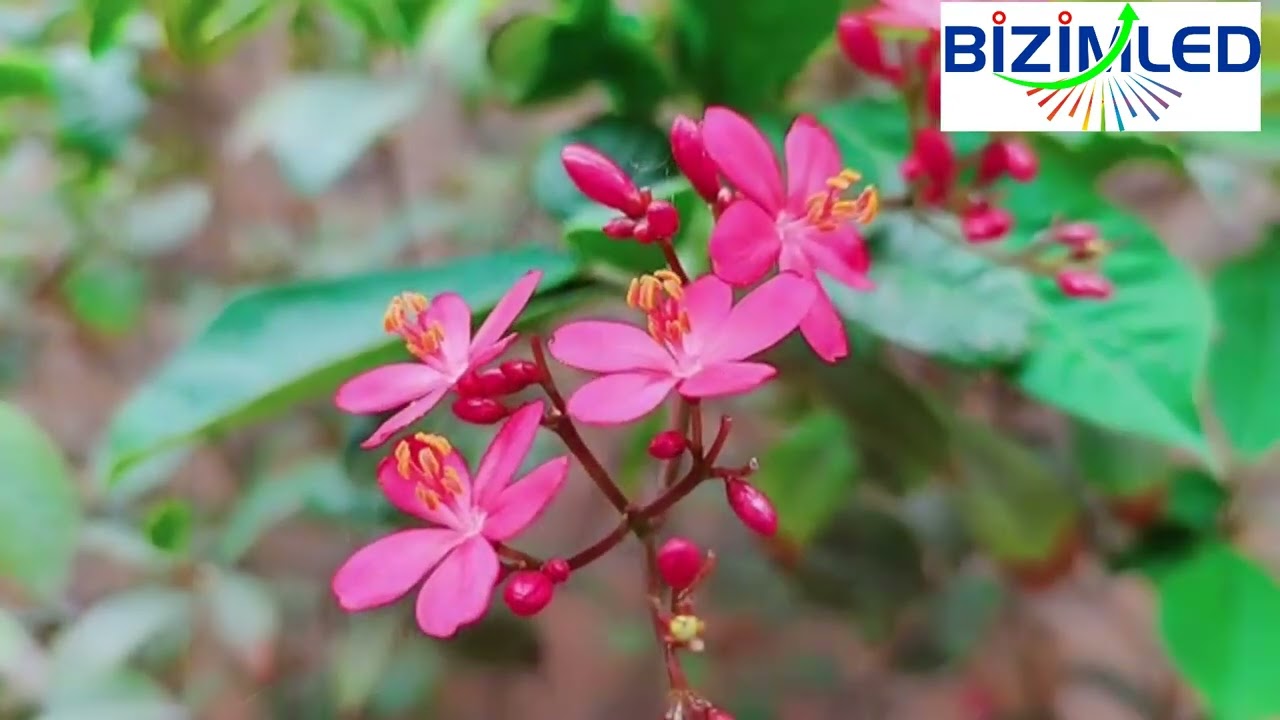 Türkiyede Gezilecek Yerler