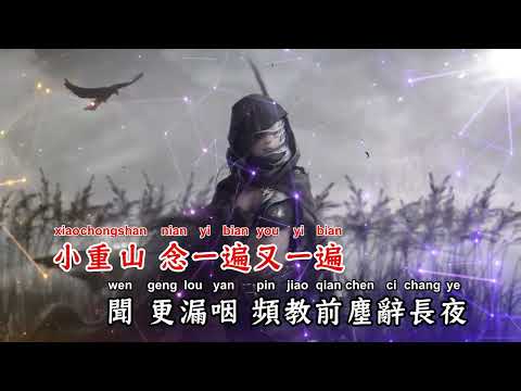 春庭雪 DJ默涵版 等什么君 备有清晰版伴奏视频