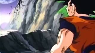 Vegeta - Hero