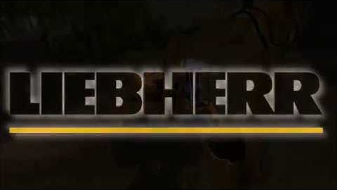 FS 17 LIEBHERR 902 Small Preview Hoses