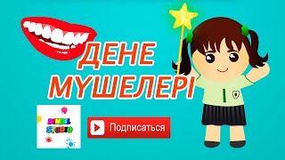 Дене мүшелері. Части тела