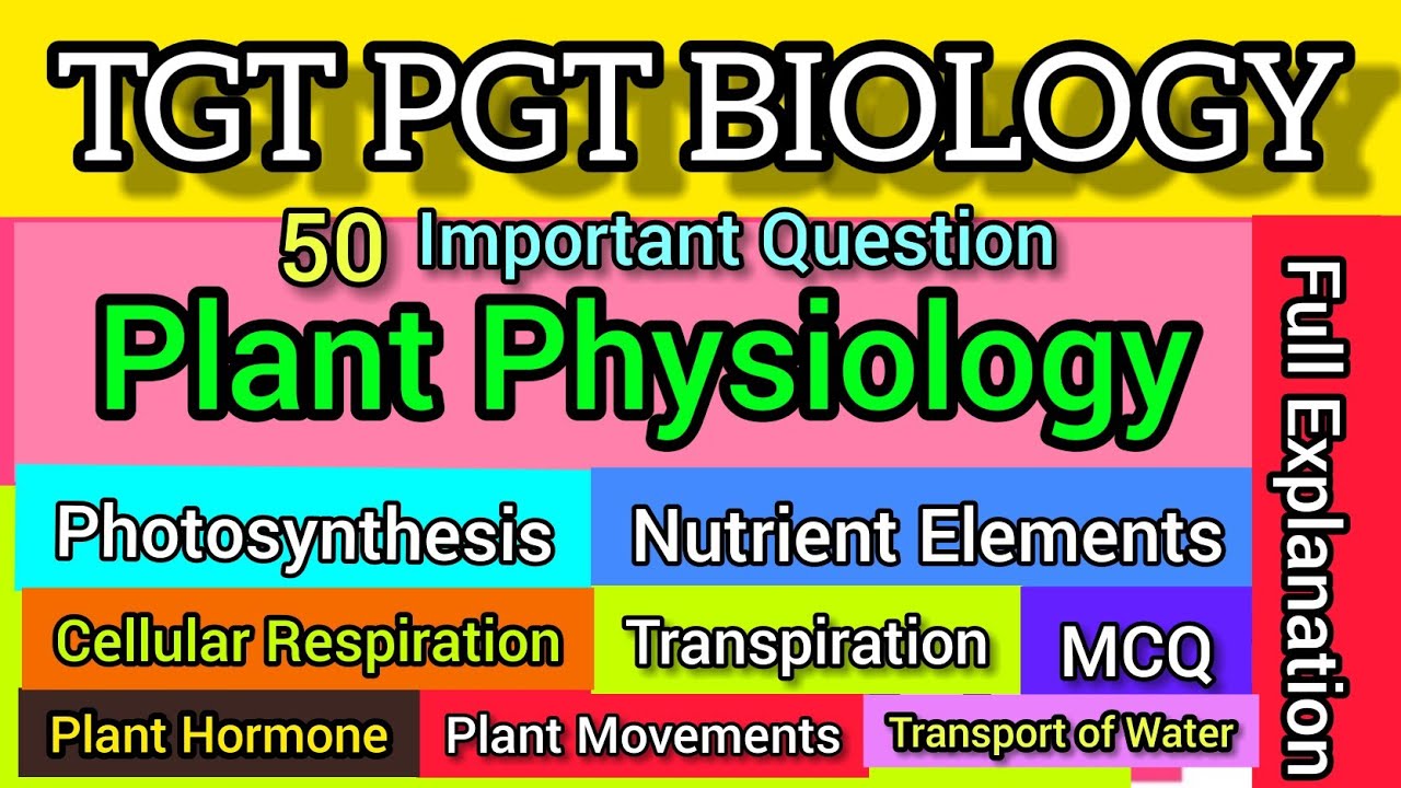 Plant Physiology top Mcqs | Best questions on Plant Physiology