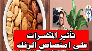 تأثير المكسرات على امتصاص الزنك