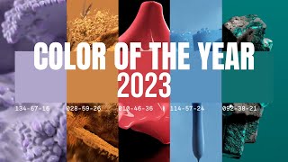 Color Trends 2023 in Interior Design (  COLOR OF THE YEAR 2023)  - Home Decor Ideas