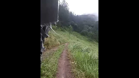 Our three-wheeled off-road vehicle #shorts  #threewheeler #3wheelerhonda #threewheeler