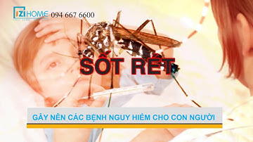 Cửa Lưới Chống Muỗi Giá Rẻ Nhất IZI Home