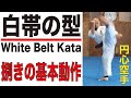 捌きの基本動作・白帯の型 White Belt Kata　円心空手 Enshin-Karete