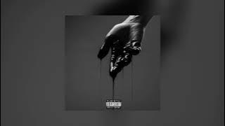 Shaker, COBRA - Next (Slowed & Reverb)