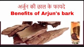 अर्जुन की छाल के फायदे| Benefits of Arjun's bark