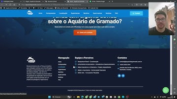 Como criar um botão de WhatsApp fixo na tela com o Elementor (Botão Flutuante)