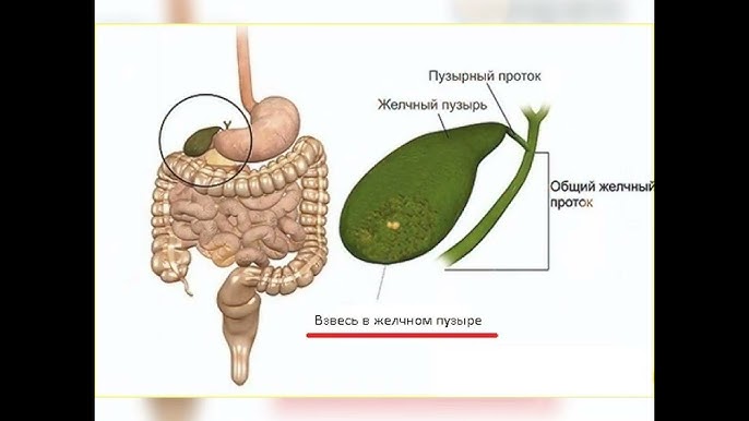 Магнитогорскідегі онлайн секс
