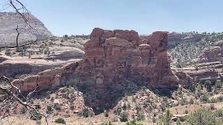 IMG 4641