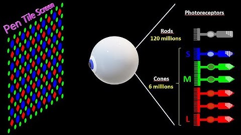 Geometry of pixels in an LCD screen and their control by the Gate driver