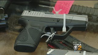 Pa. Lawmaker Suggests Banning Loaded Guns In Cars