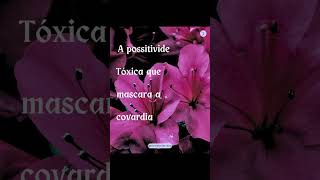 Não Somos Princesas Indefesas. Somos Caóticas. E Só Servimos Quando Queremos. Óticas