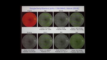 "Rise of the Machines: Deep Learning from Backgammon to Skynet," Paul Ginsparg Cornell University