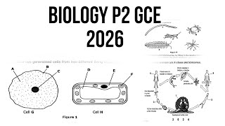 BIOLOGY P2 Q5 2026 GCE