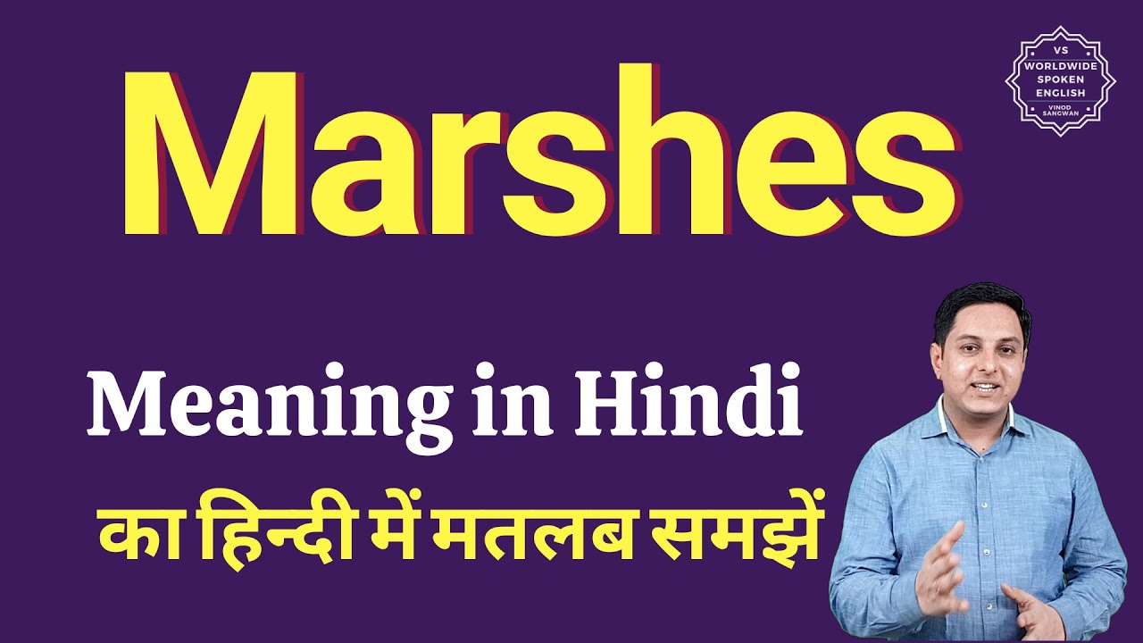 Marshes Meaning In Hindi Marshes Ka Matlab Kya Hota Hai YouTube Marshes Meaning In Hindi Marshes Ka Matlab Kya Hota Hai YouTube