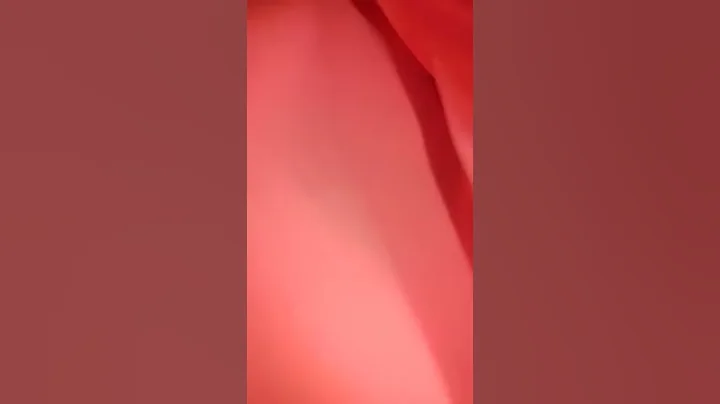 16 August 2017