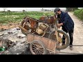 Restoration of Minsk 125 badly damaged - Minsk Vehicle Restoration 125 part 1 Dismatling + Painting