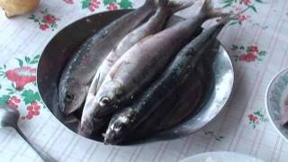 картинка: Малосольный омуль от лидера ПСПУ