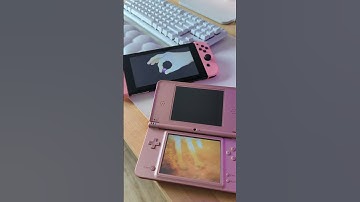 Rune Factory 3 Switch VS DS